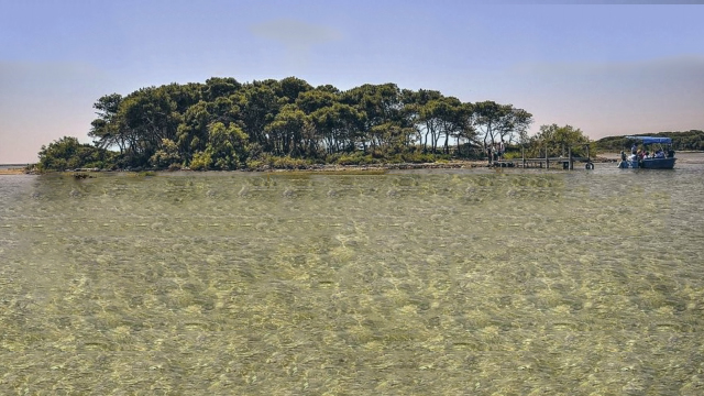 L’isola dei Conigli a Porto Cesareo