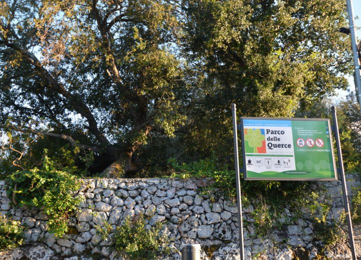 Il Parco delle Querce a Castro: informazioni e curiosità
