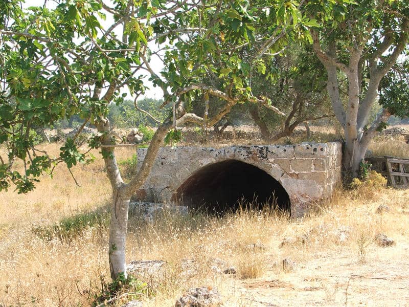 Tracce di antichi saperi nel Salento: scopri le neviere