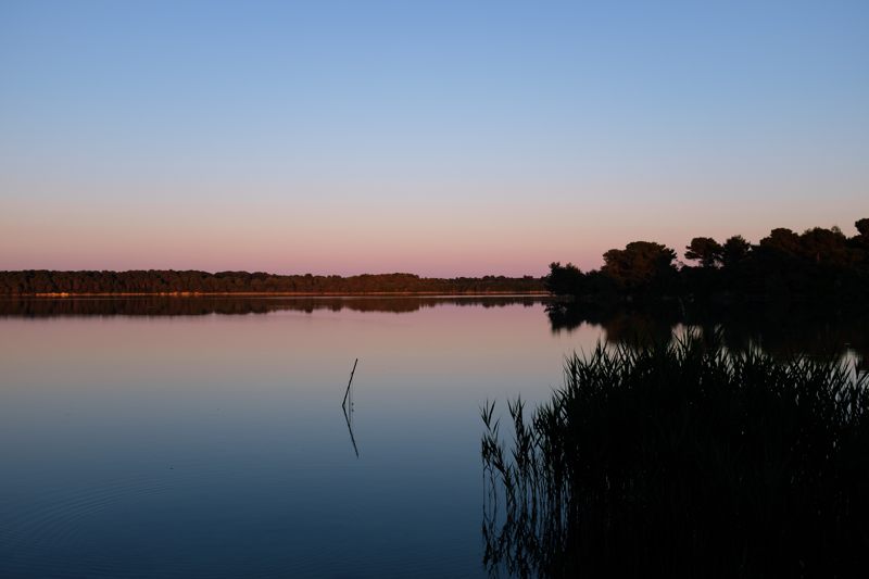 Immersione nella natura ai Laghi Alimini
