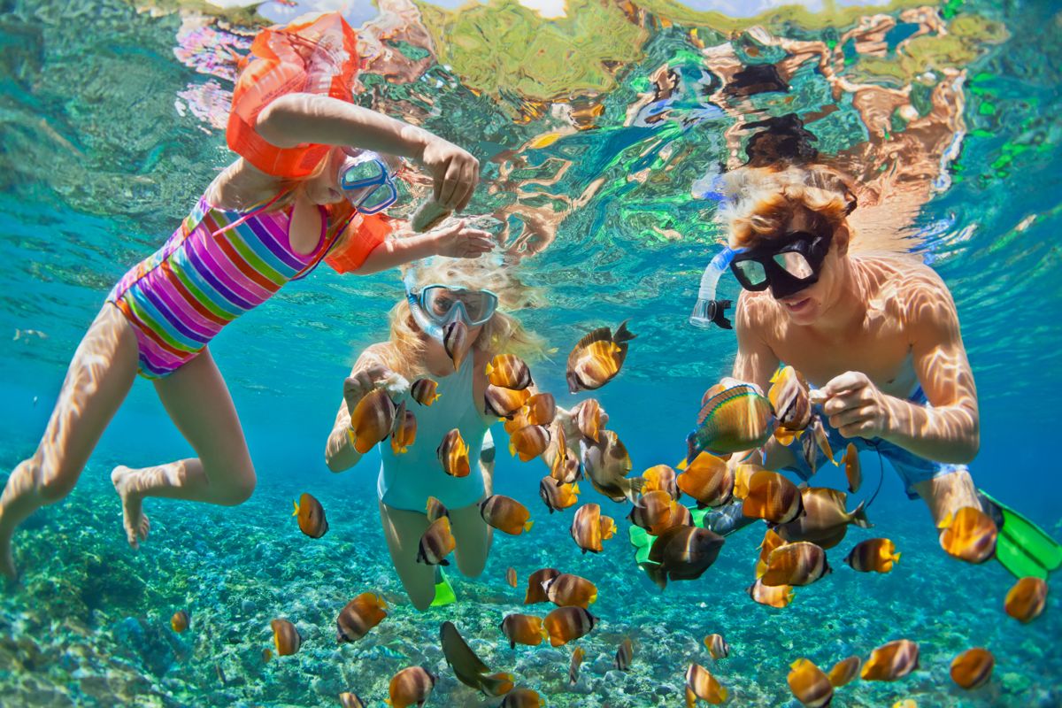 è Indispensabile Per Chi Fa Snorkeling