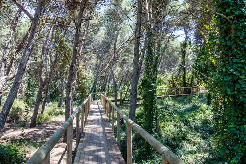 Il Salento e la natura: itinerari tra parchi, riserve e oasi naturalistiche